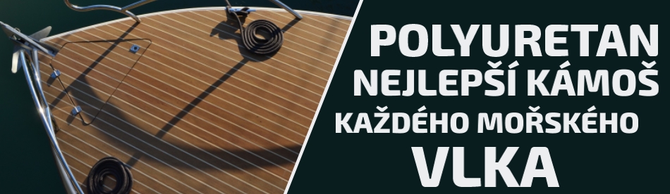 mořský vlk