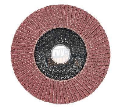 Brusný kotouč lamelový průměr 125 zrno 60