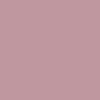 Růžová echinacea