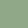 Zelený artičok