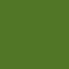 Zelený limetkový 0590 